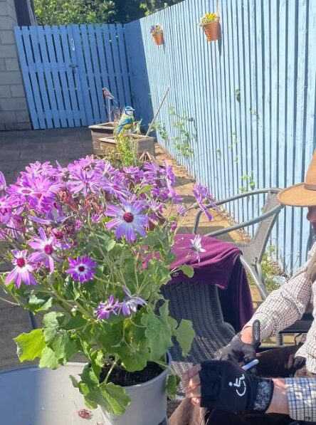 gardening