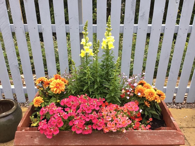 a raised planter with flowers in
