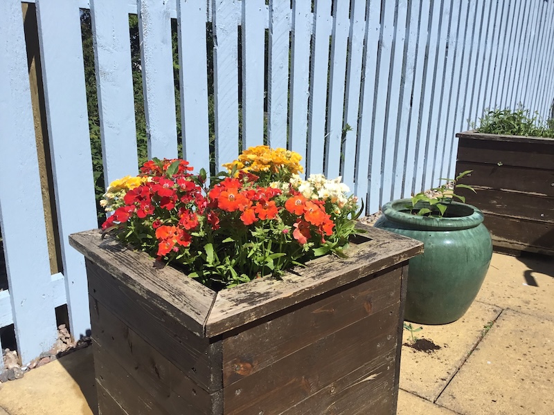 a raised planter with flowers in